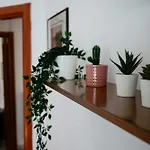 Laura's *